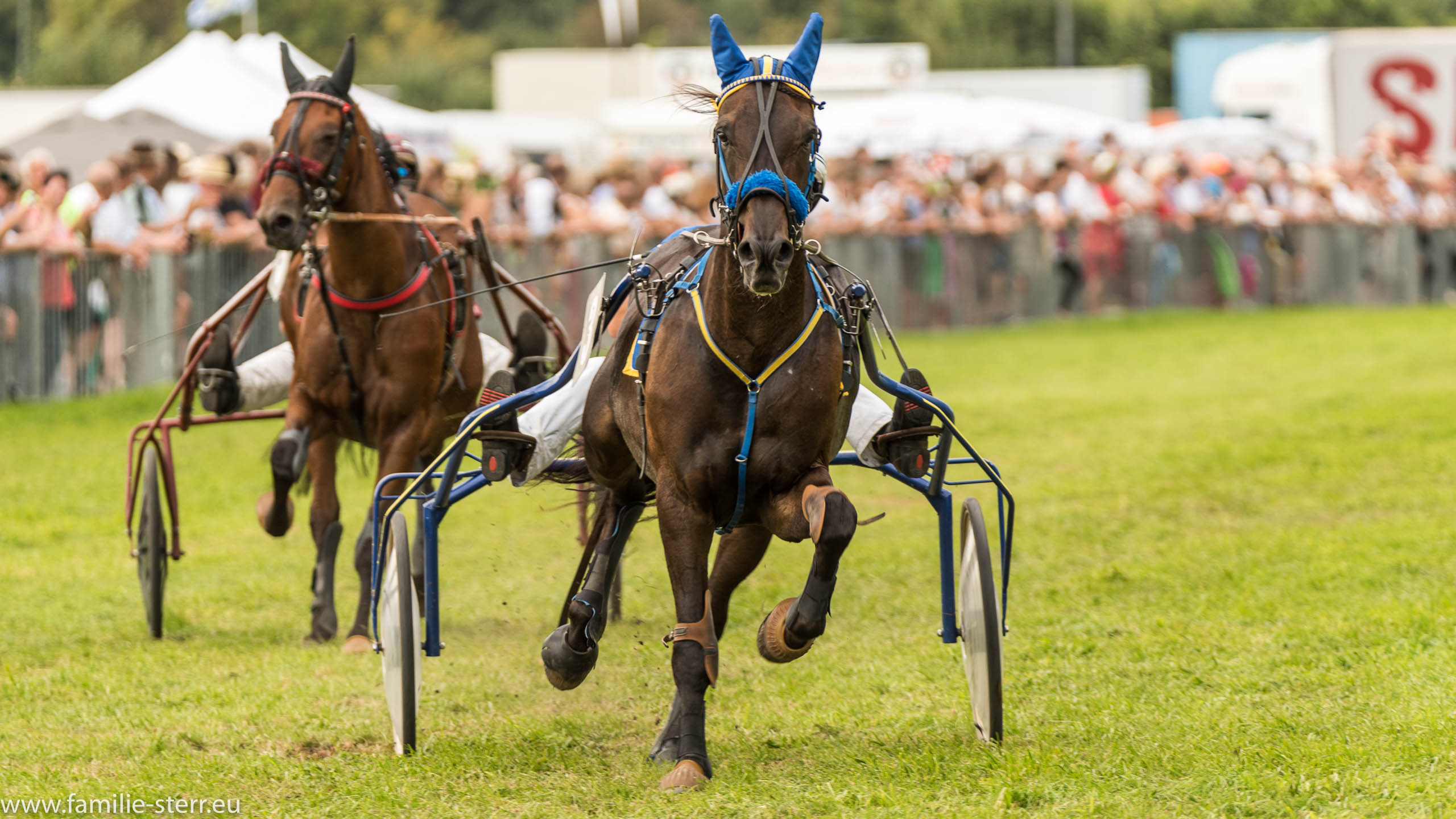 Trabrennen in Erding 2017
